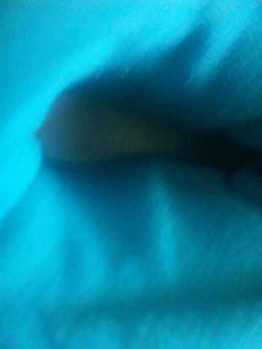 Ghete role