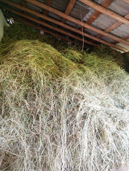 Vind FIN .de anul 2025