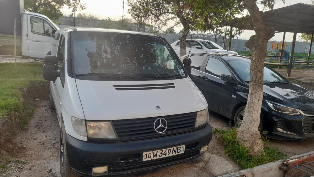 Vito sotiladi w638