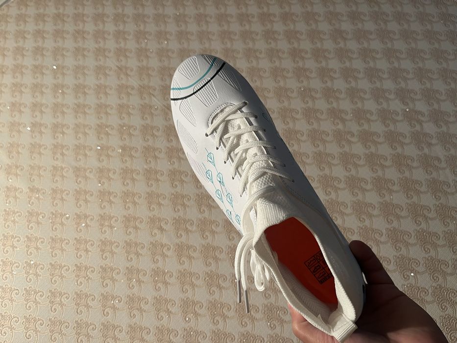 Сороконожки новые