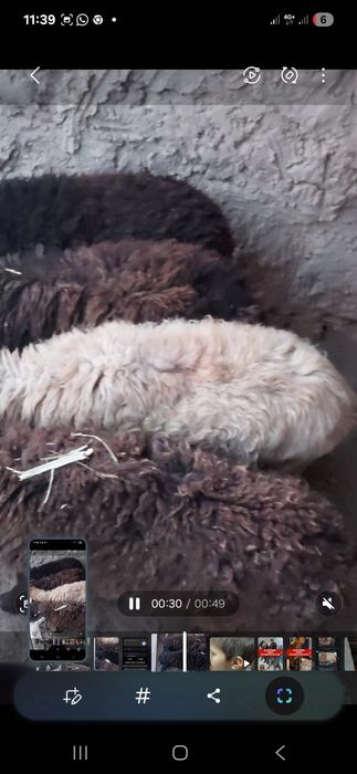 60000 м нан. 1 еркек 3 урғашы