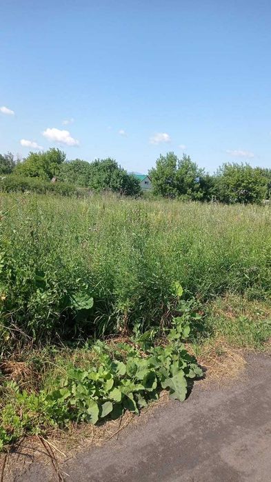 Продам дачный участок в Боровом 6 соток