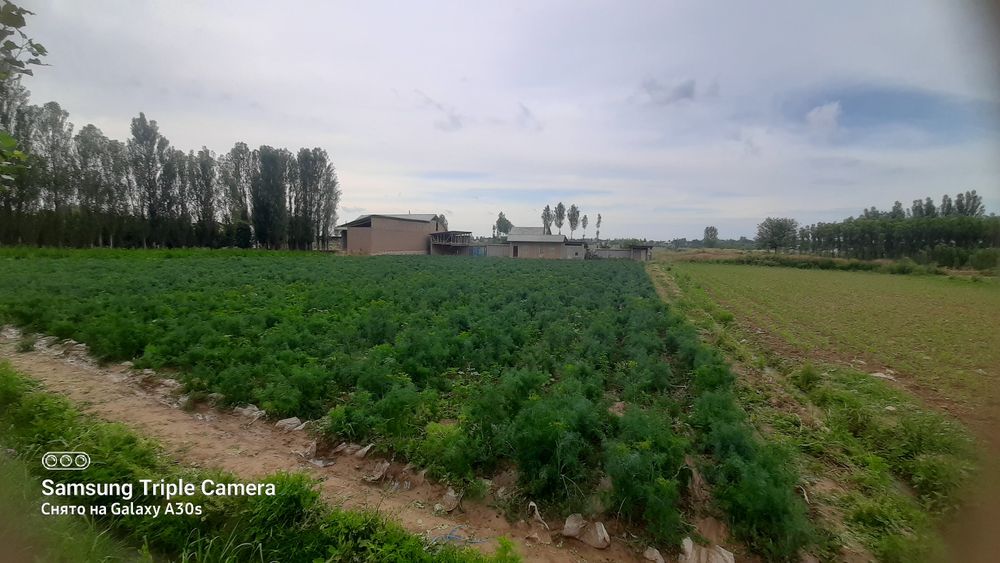 Участка сотилади