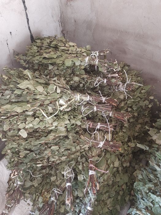 Продам веники березовые