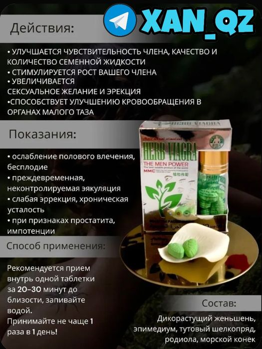 оригинальный катализаторнаш пахербма