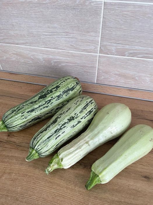 Продам кабачки домашние