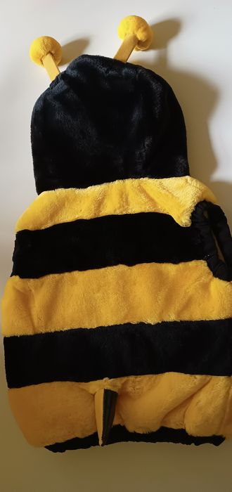 Vesta buburuză și albinuța,copii până în 4ani