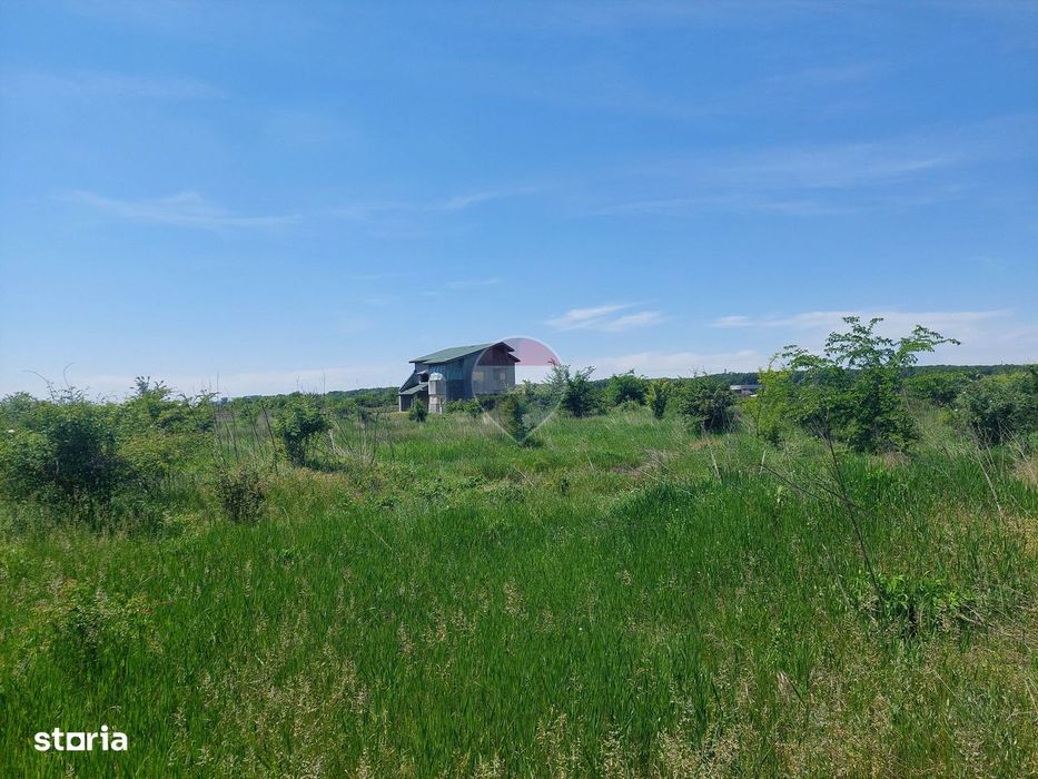 Teren intravilan, un colț de liniște, aflat în Petrești, Corbeanca
