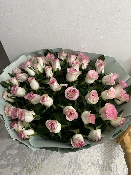 розовые розы, 51штук