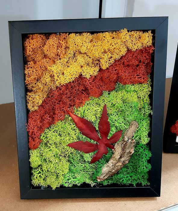 Картини от скандинавски мъх