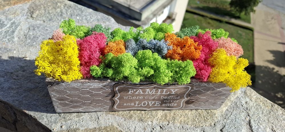 Кашпа със скандинавски мъх