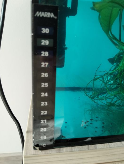 Vând acvariu Aquawel