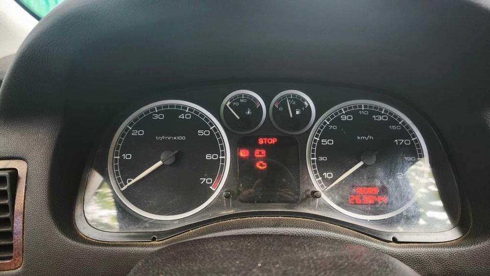 Peugeot 307 1.6 benzina