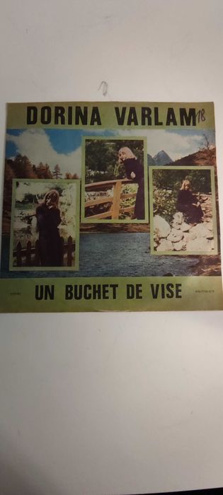 Colectie discuri vinil