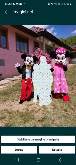 Închiriez costume Mikey, Minnie, Paw Patrol sau Winnie