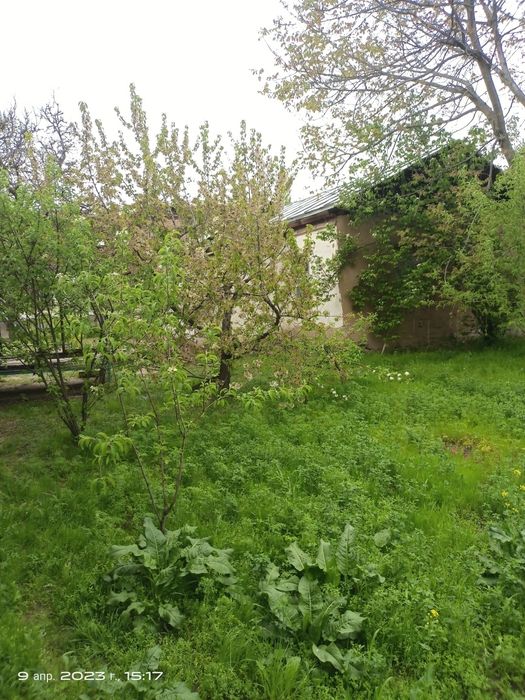 10 соток ховли бустонлик тумани сойлик кишлогида 2 этаж