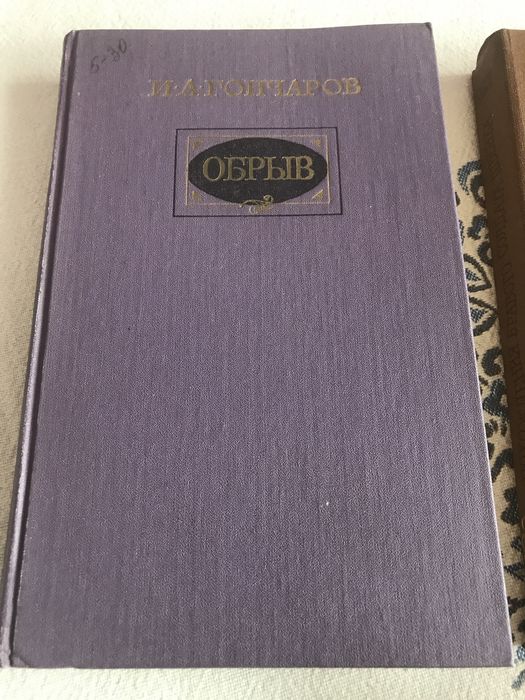 Книги разные и словари