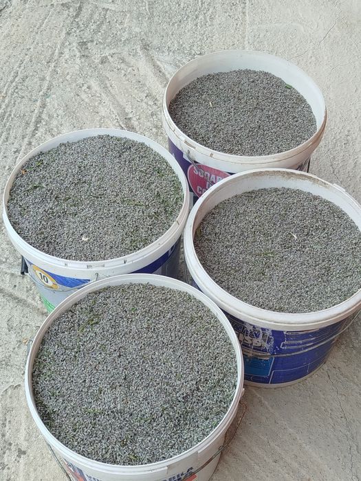 Floare  de lavanda uscata biologica 2026