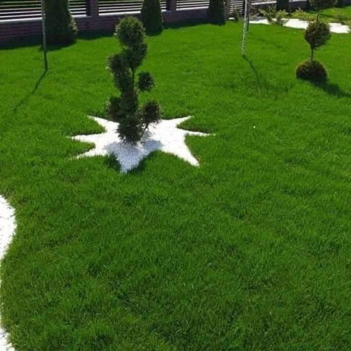 Gazon rulou și sistem de irigatii