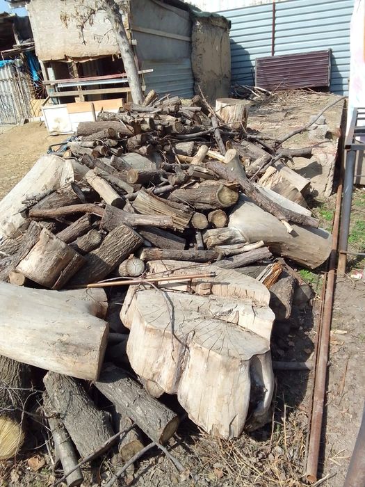 Кесілген ағаштар. Распилинные дрова