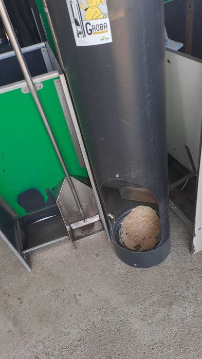 Hrănitoare Adepatoare Porci și Purcei Boxa Fatare Grătare din Fontă