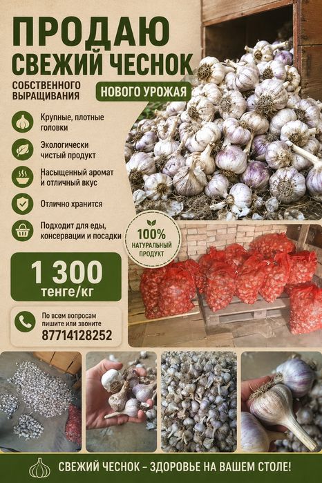 Свежевыкопанный Чеснок