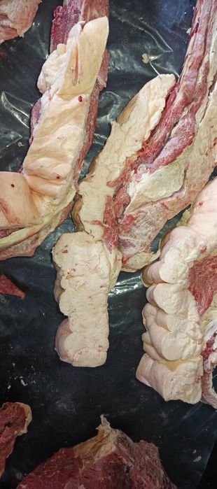 Продам 1 ляжку конины.