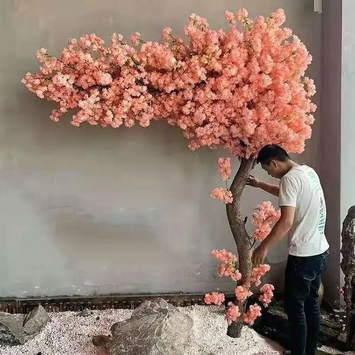 Дарахт бансай япон дарахти йасаб берамиз