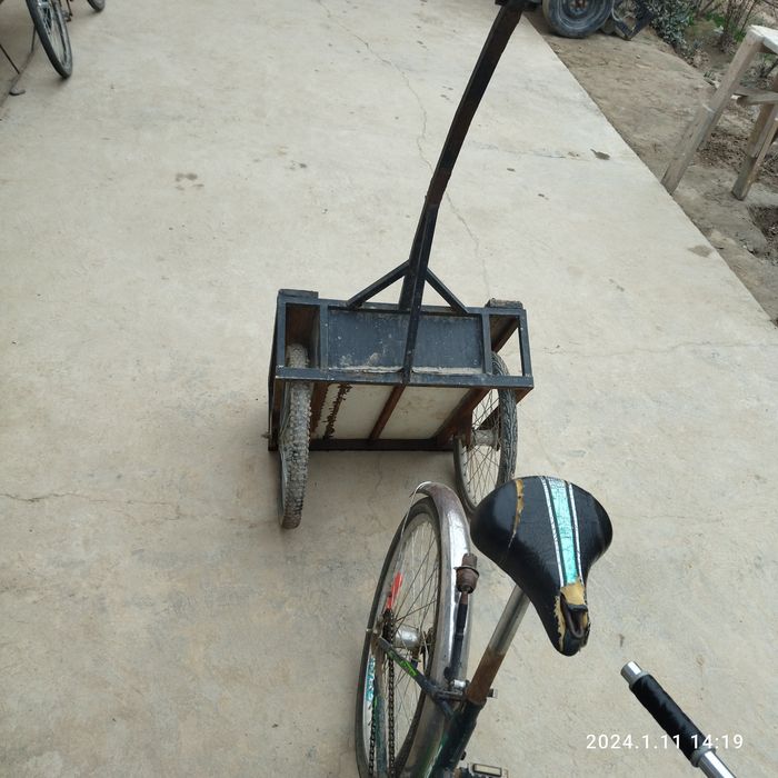 Веласапет тилечголи