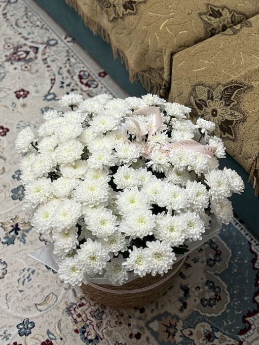 Тірі гүл шоқтары - кез келген мерекеге