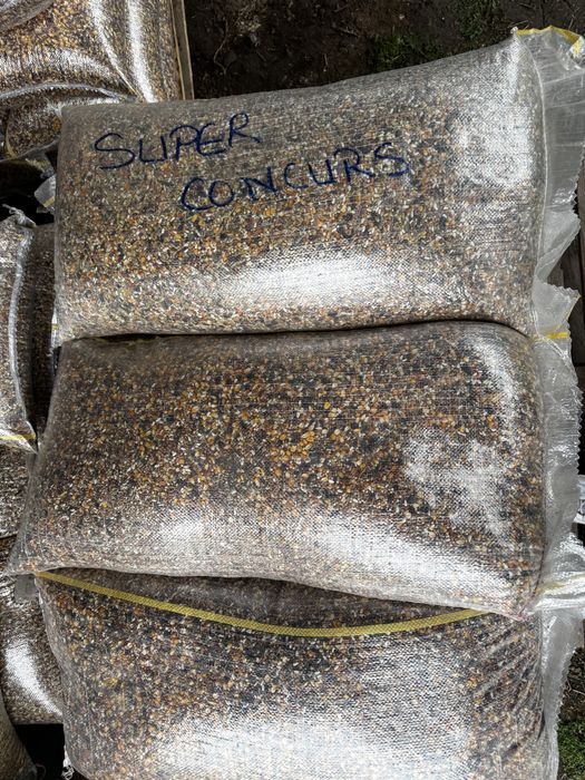 Hrana porumbei, catei, pisici