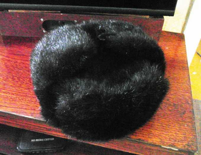 Шапка ушанка, размер примерно 58-59