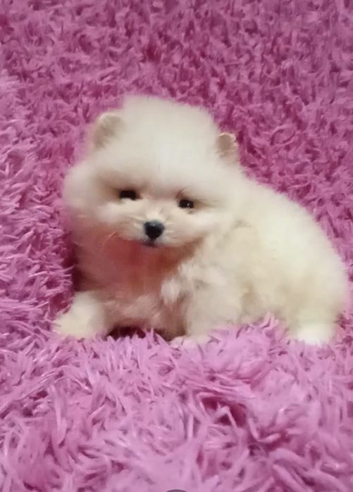 Счастье на ладошке