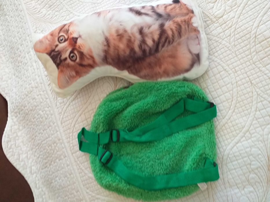 Малка раничка и възглавница коте