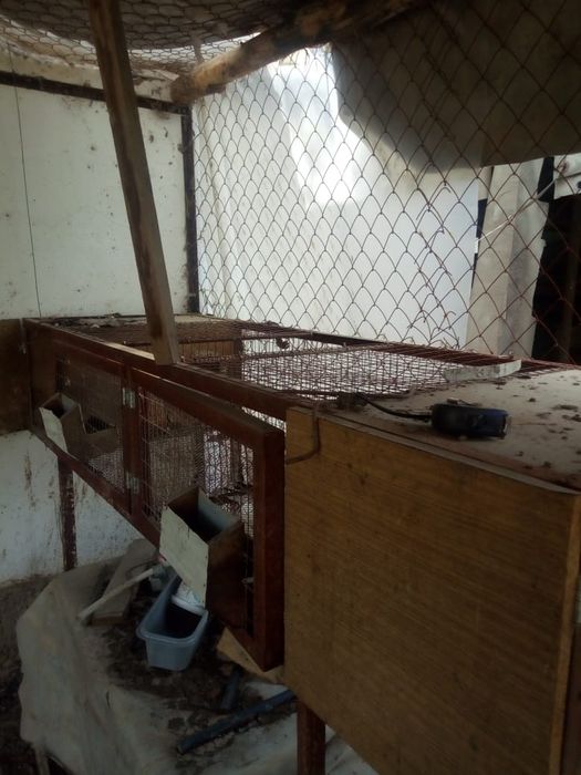 Клетки для кроликов