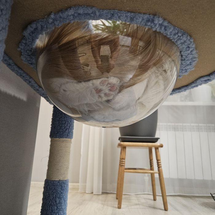 Домик для кошек когтеточка