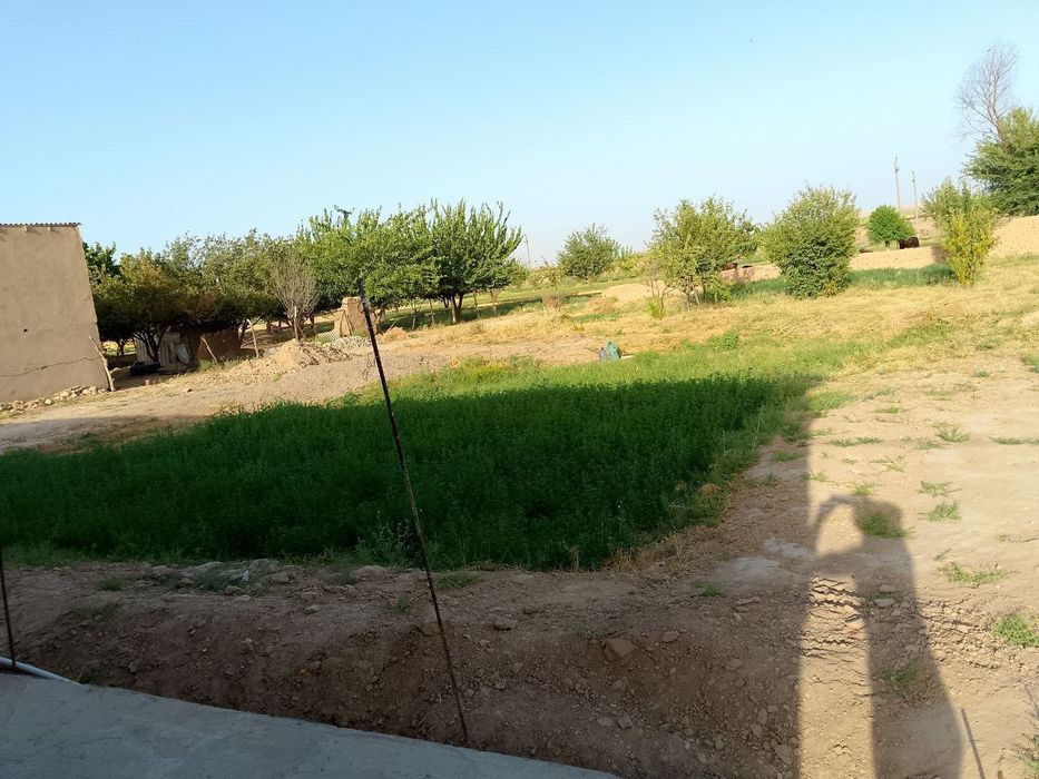 Uchaska sotiladi 6 sòdikda