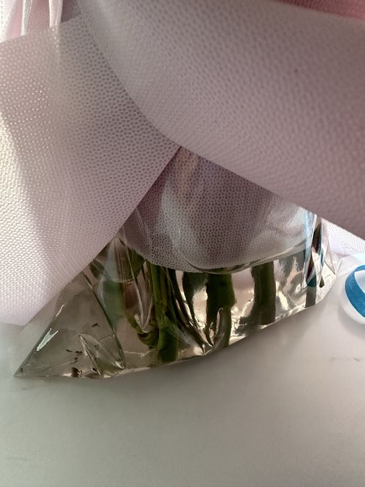 продам букет цветов (15 роз)
