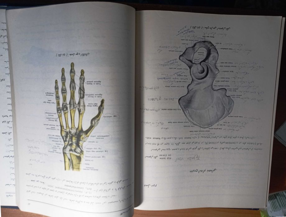 Notes on Pharmacology, Medical textbooks for 1st - 2-nd year students: