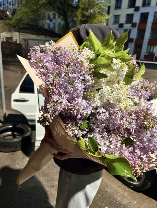 Букеты свежей сирени