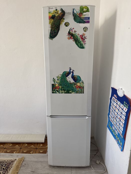 Холодильник BEKO