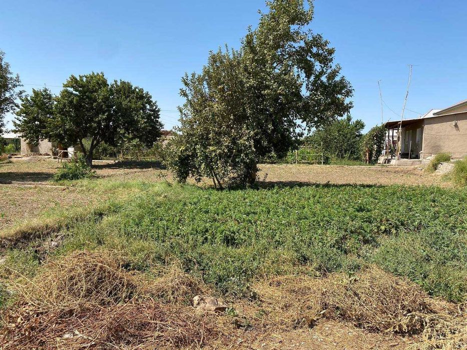 земельный участок с жилым домом