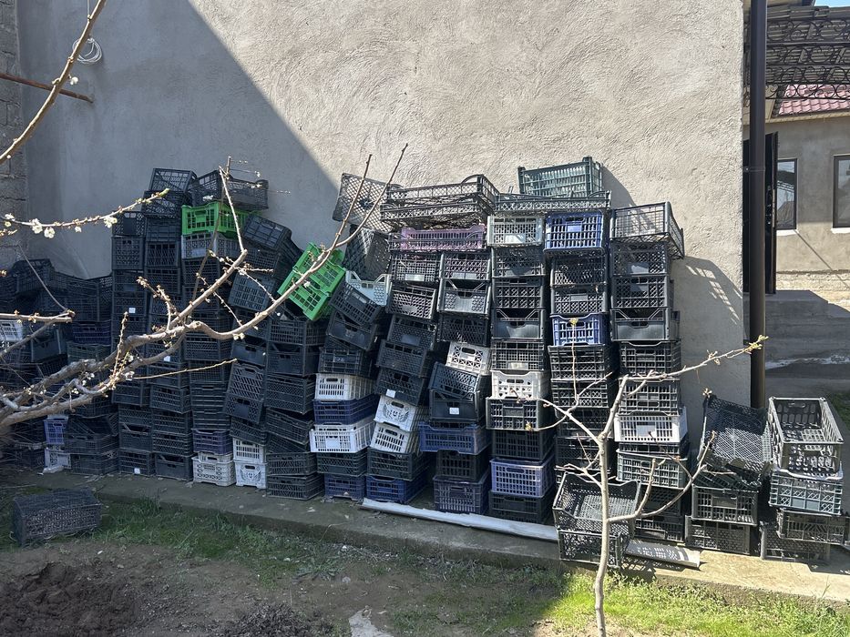 Ящик пластмассовый