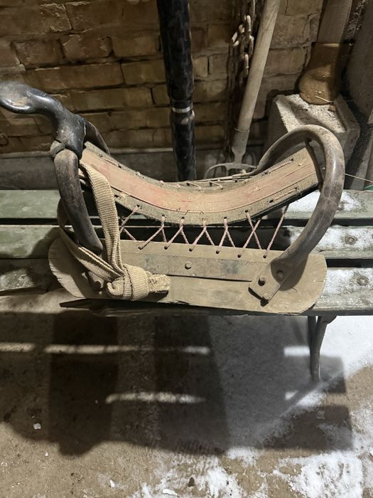 Ертокым  жылқыға