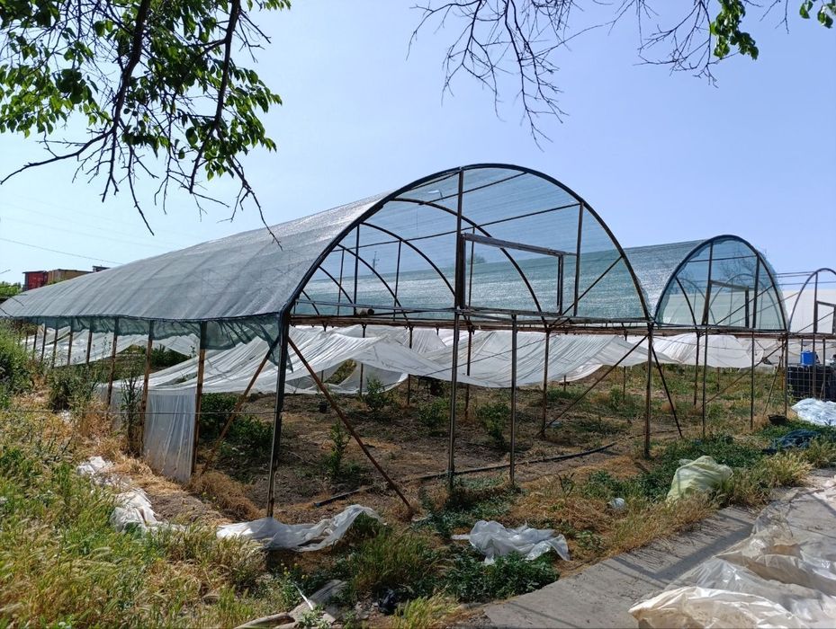 Продается теплица изготовлена из материала контейнера