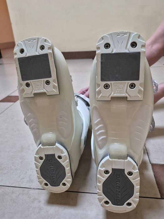 Ботинки для горных лыж