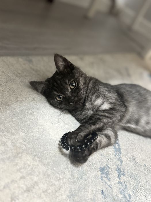 В любящие руки девочка