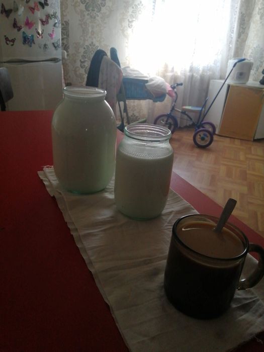 Козье молоко Караганда