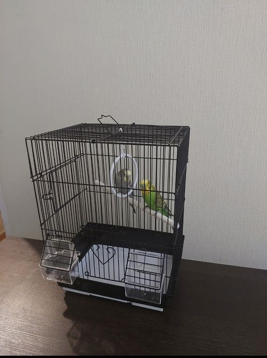 Попугайчики клетка, корм, минералы