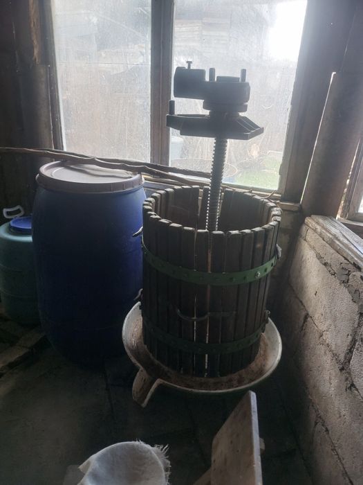 Vând struguri un cupaj de Albi Feteasca-Riesling si Negri Merlot-Fetea